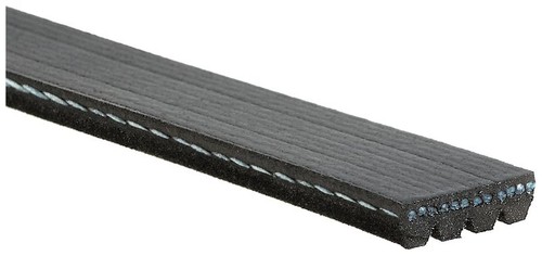 Fits gates 4pk813 ribbed - fits,