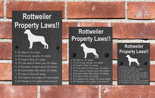 Property laws funny dog slate - dog,