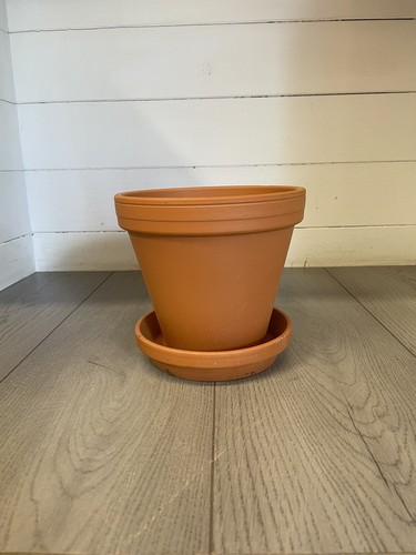Large terracotta pots and - terracotta,