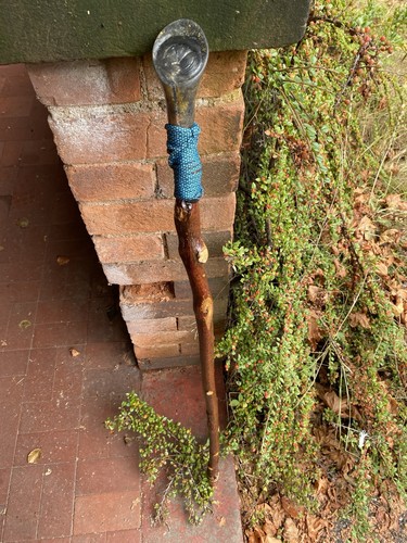 Blackthorn walking stick - blackthorn,