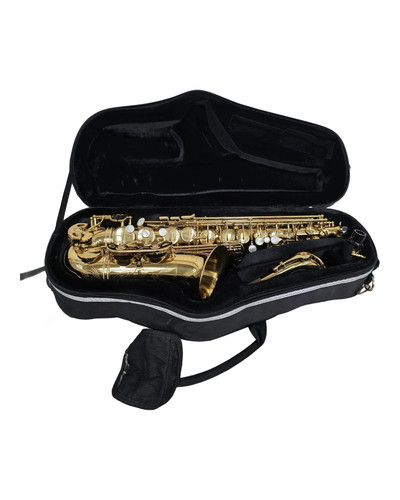 Alto saxophone trevor - alto,