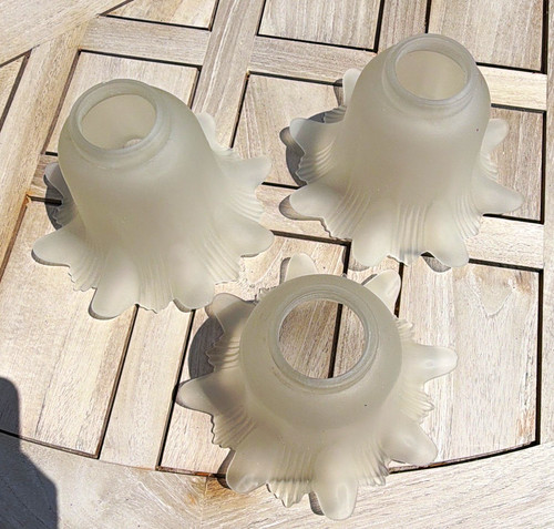 Vintage frosted glass - frosted, tulip