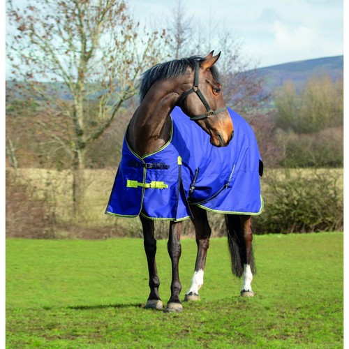 Asker horse lightweight - asker,