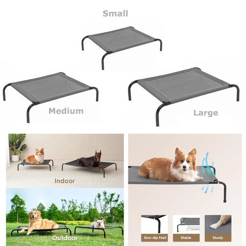 Raised dog bed - bed, pet