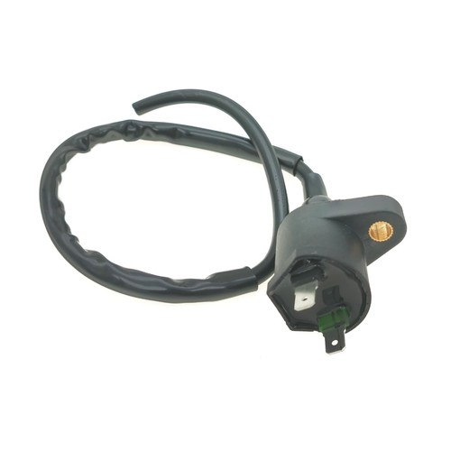 Ignition coil pins peugeot - coil,