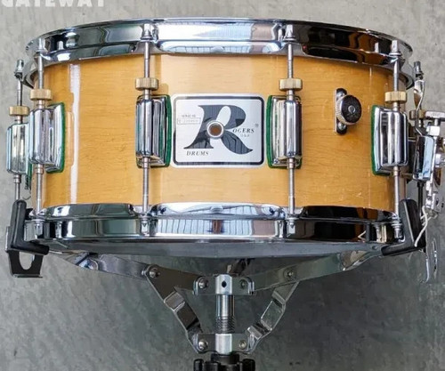 Rogers 1982 dynasonic 10 - rogers,