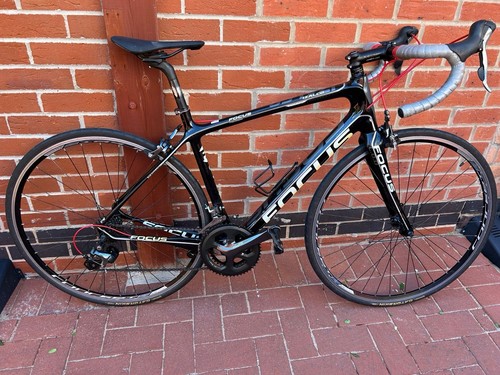 Focus izalco woman - woman, carbon