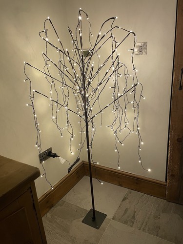 5ft weeping willow - weeping,