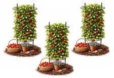 3 Pack Round Tomato Cage Plant