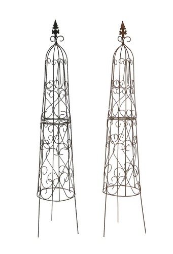 Garden climbing plant - climbing,
