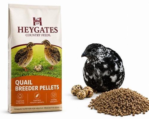 Heygates quail breeder - heygates,