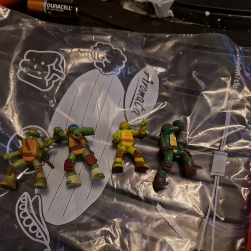 Teenage mutant ninja turtles - mutant,