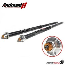 Andreani Misano Evo adjustable