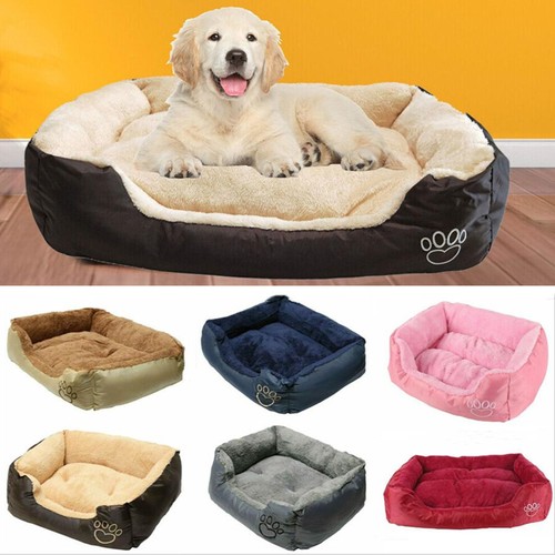 Pet dog bed cat - dog,