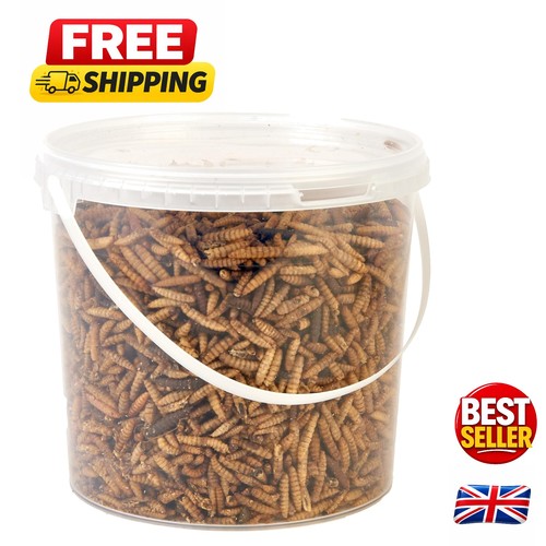 Calci worms ideal - worms,