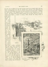 AUSTRALIA  HORSHAM / BUSH