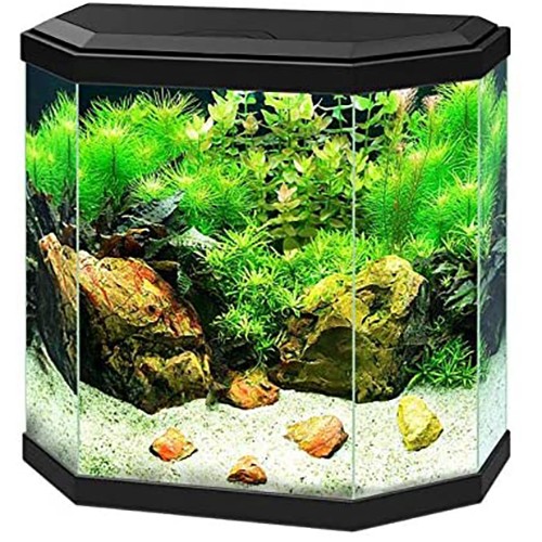 Ciano aqua aquarium - aquarium, led