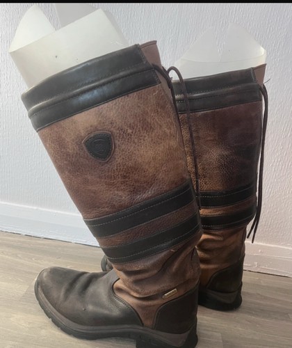 Ariat equestrian leather horse - ariat,