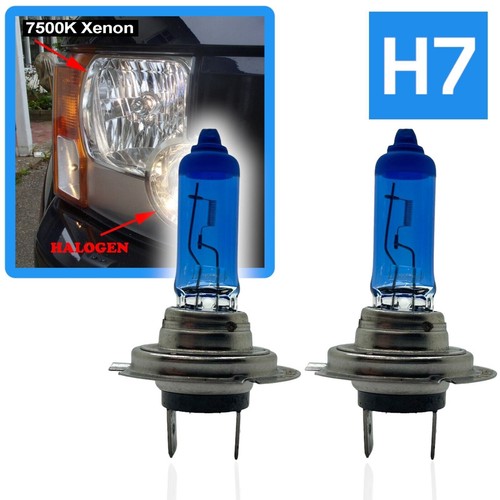 7500k xenon headlight bulbs - headlight,