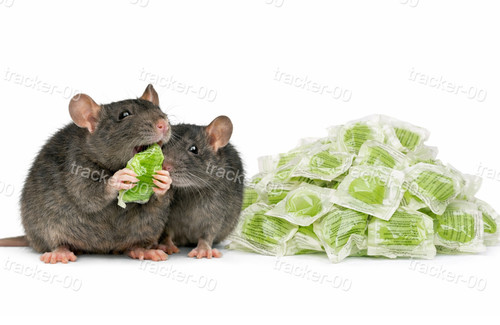 Strong rat poison single feed - strong,