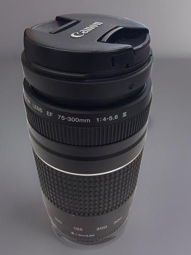 Canon 300mm 5 6 iii - 75-300mm,