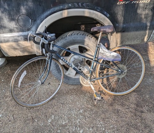 Vintage raleigh marathon - raleigh,