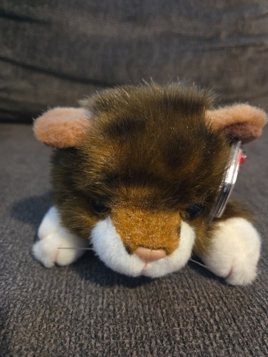 Classic beanie buddy spice - ty,
