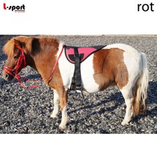 L-Sport Starter Set Riding