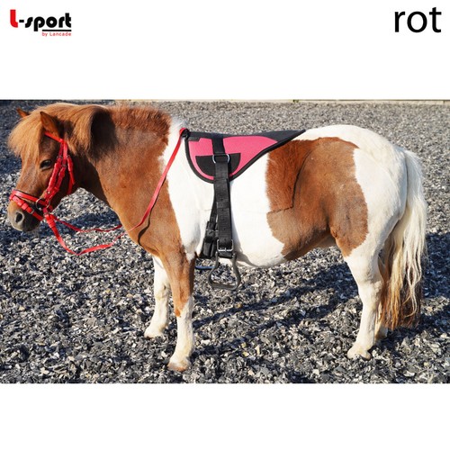 Sport starter set riding - l-sport,