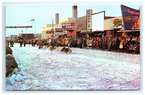 Postcard sled dog - dog, racing