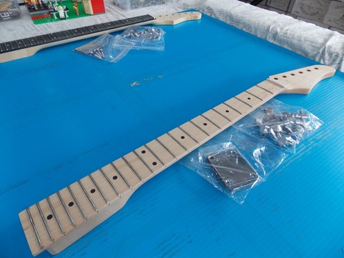 Unused maple - /, strat