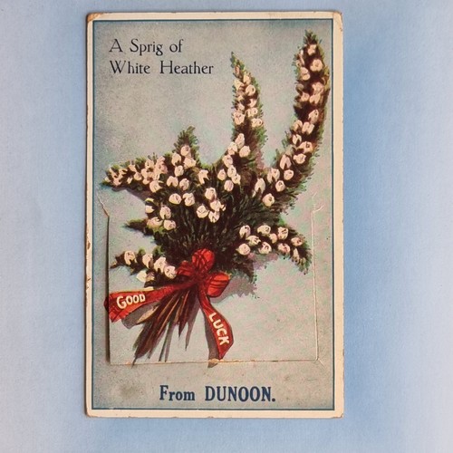 Novelty postcard c1920 dunoon - novelty,