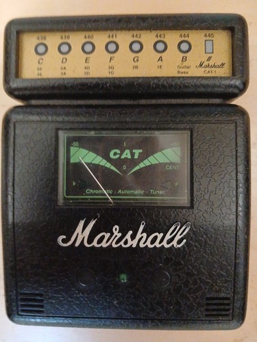 Marshall cat guitar bass - &,