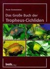 Das große Buch der Tropheus-Cichliden by Frank Schnei... | Book | condition good