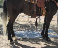 NEW Vintage Authentic Parelli