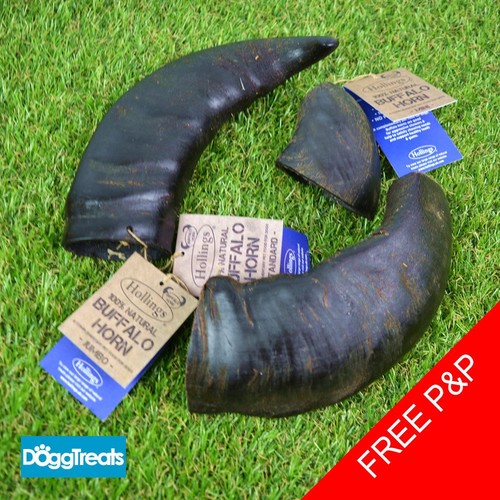 Buffalo horn dog chews natural - dog,