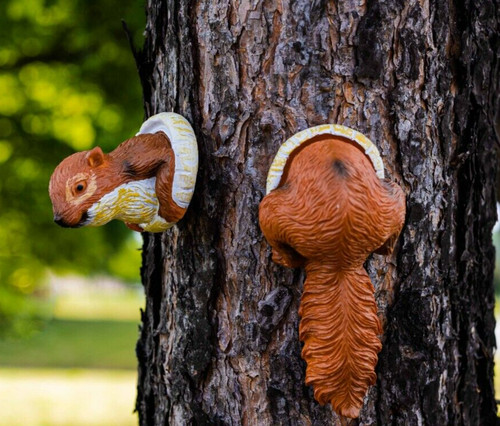 Garden squirrel tree peeker - squirrel,