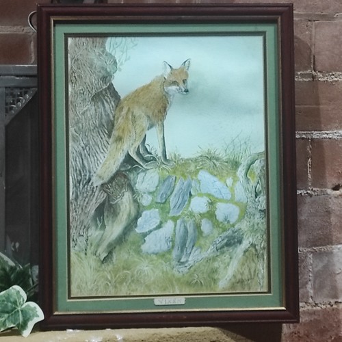 Fox vixen watercolour - vixen, signed