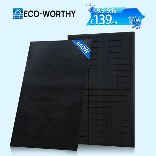 Eco worthy type 440w - eco-worthy, n-type