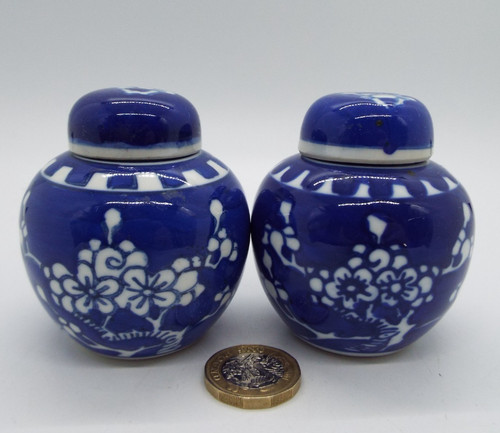 Miniature chinese prunus - miniature,