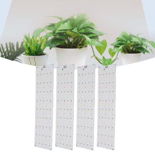 Plug cabinet plant - plug,