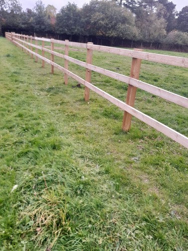 Post and rail - post, fencing