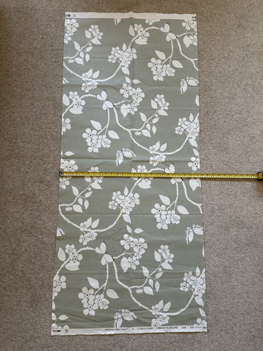 Vanessa arbuthnott flora and - arbuthnott,
