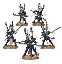 Drukhari Incubi Warhammer 40K
