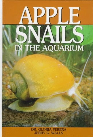 Apple snails the aquarium - the,