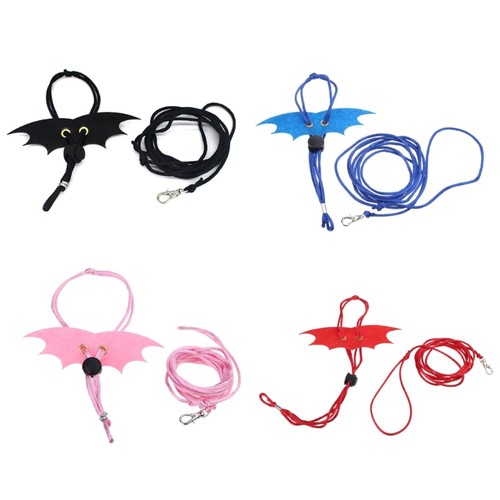Bearded dragon leash - leash, and