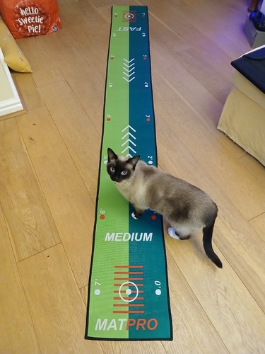 Matpro golf putting mat 7 - putting, mat.