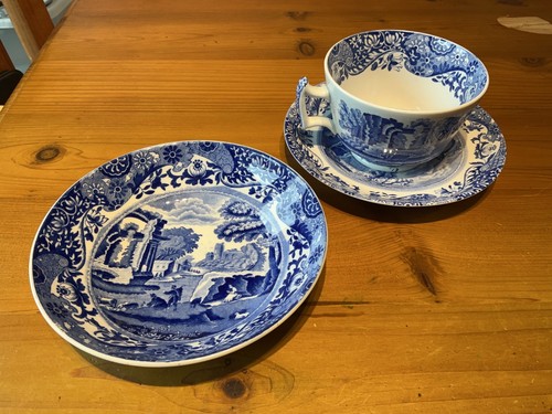 Copeland spode italian blue - spode's,
