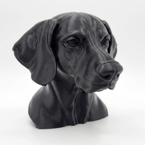 Weimaraner dog bust home - weimaraner,