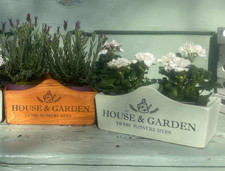 Pretty Garden Trug in Natural